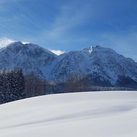 'Dasbergblick' Altaussee Exterior foto